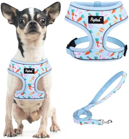 PUPTECK Small Dog Harness and Leash Set No Pull by PUPTECK