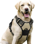 rabbitgoo Dog Harness, No Pull for Large Dogs by rabbitgoo