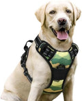 rabbitgoo Dog Harness, No Pull for Large Dogs by rabbitgoo