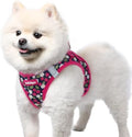 rabbitgoo Step-in Small Dog Harness, Puppy Vest by rabbitgoo