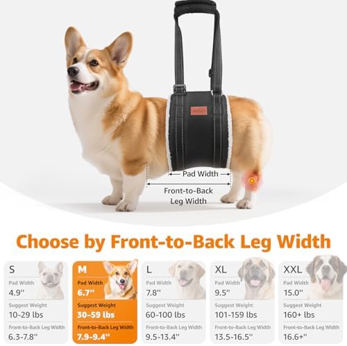 LOOBANI Adjustable Dog Sling for Medium Dogs Hind Leg Support ACL Recovery - Image 4