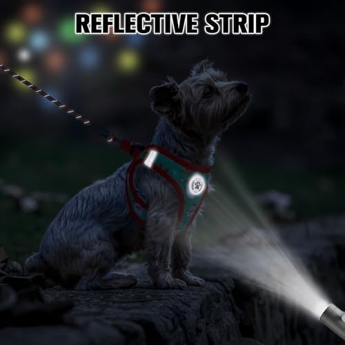 BEAUTYZOO Step in Dog Harness and Leash Set, Reflective Dog Harness No Pull No - Image 6