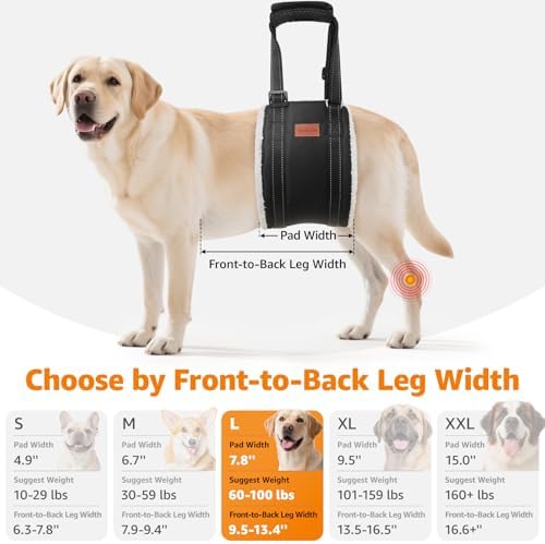 LOOBANI Adjustable Dog Sling for Large Dogs Hind Leg Support ACL Recovery - Image 5