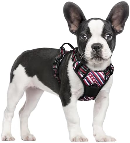 rabbitgoo Dog Harness, No Pull for Small Dogs by rabbitgoo