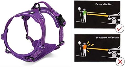 JUXZH Truelove No Pull Dog Harness - Image 3