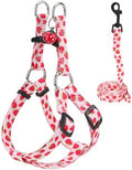 BEAUTYZOO Dog Harness Small Sized Dog Girl, No Pull Dog Harness and Leash Set by BEAUTYZOO