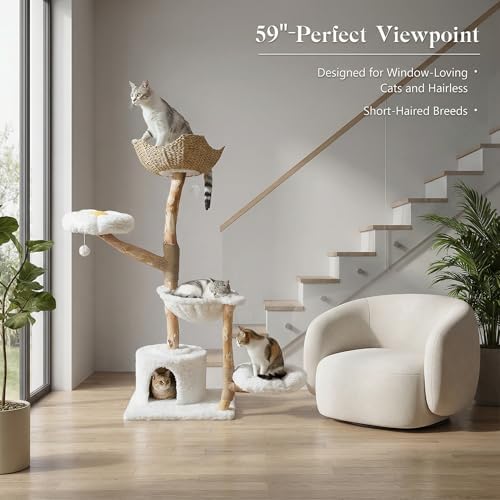 MUTTROS 59" Modern Wood Cat Tree - Image 6