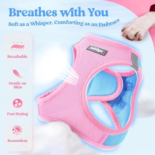 rabbitgoo Dog Harness Small Sized and Leash Set, Step-in Puppy Pet Vest - Image 3