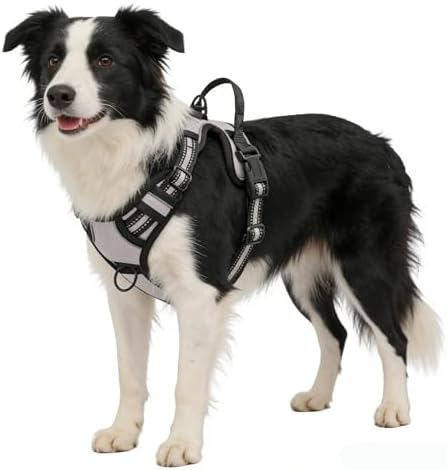 Gray No-Pull Dog Harness with 2 Leash Clips，Soft Padded Vest - Image 4