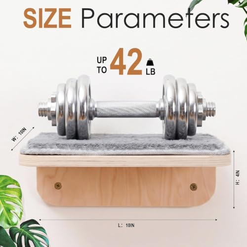 Wenqik 4 Pcs Cat Steps for Wall, Wooden Cat Climbing Shelf 10 x 10 x 4 Inch - Image 3