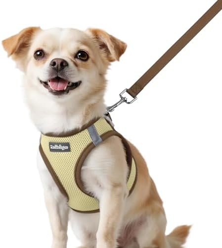 rabbitgoo Dog Harness Small Sized and Leash Set, Step in Soft Vest by rabbitgoo