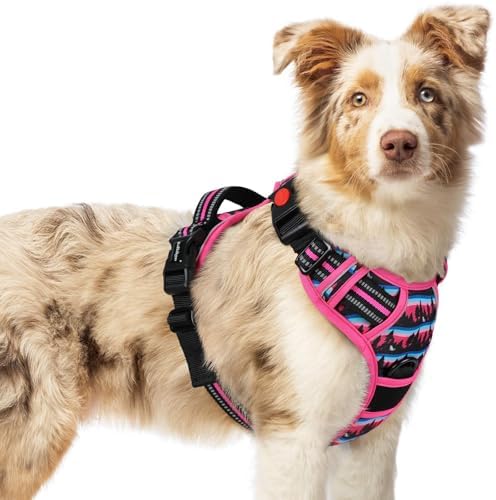 rabbitgoo Dog Harness Medium Sized, Updated Easy On & Off by rabbitgoo