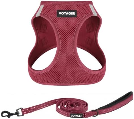 Voyager Step-in Air Cat Harness & Leash Set by BestPetSuppliesLLC