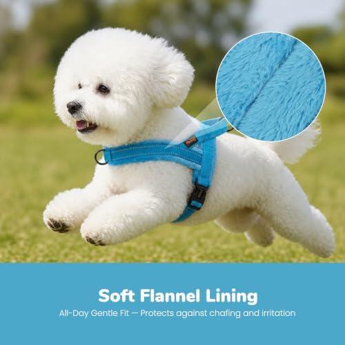 Didog No Pull Dog Harness for Small Dogs, Soft Flannel Padded - Image 2