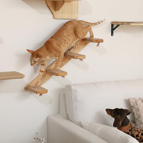 FUKUMARU Cat Climbing Shelf Wall Mounted - Image 4