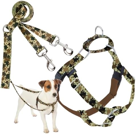 2 Hounds Design by 2HoundsDesign