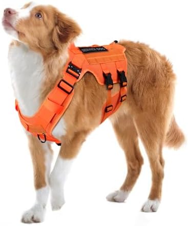 Petnanny Tactical Dog Harness Service Vest by PETNANNY