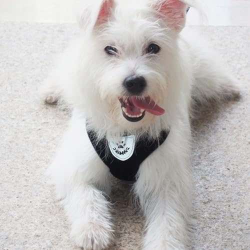 Hypeety Dog Vest Harness No-Pull Reflective Step-in Air Mesh Vest - Image 5