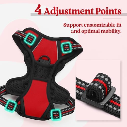 rabbitgoo Dog Harness, No Pull for Small Dogs - Image 4