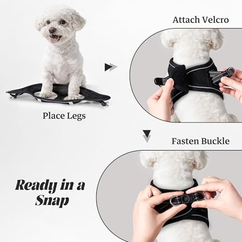YIMEIS Dog Harness and Leash Set, No Pull Soft Mesh Pet Harness, Reflective - Image 4