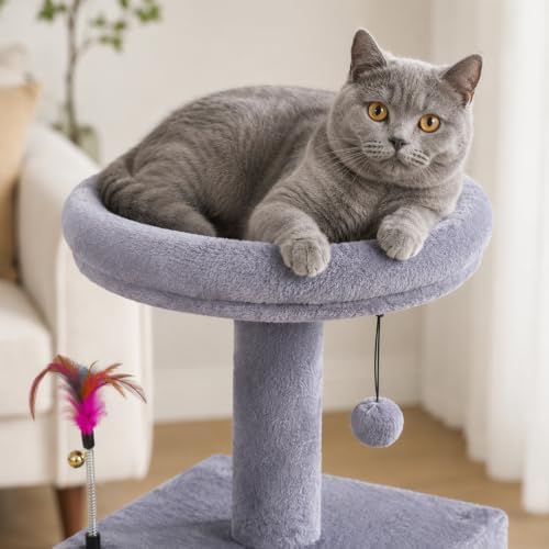 YUNIQUE Small Cat Tree for Indoor Cats, Cat Tower - Image 6