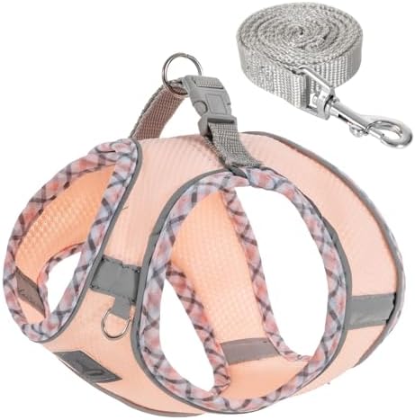 Dog Harness & Leash Set by TomteNisse