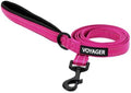 Best Pet Supplies Voyager Nylon Dog Leash - 6ft Fuchsia by BestPetSuppliesLLC