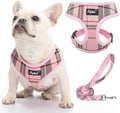 PUPTECK Small Dog Harness and Leash Set No Pull by PUPTECK