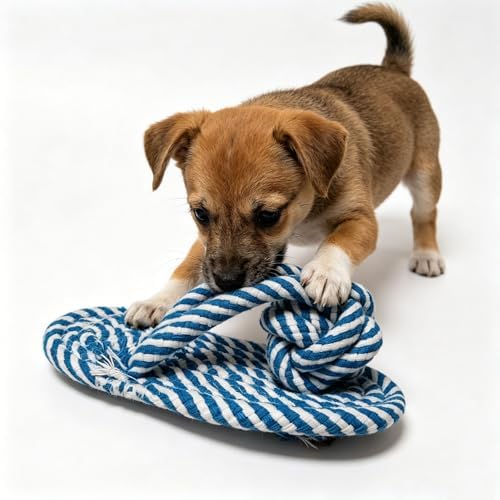 Dog Toys Puppy Teething Chew Pet Cat Toy Rabbit Toys Healthy Gift - Image 4