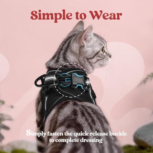 rabbitgoo Cat Harness and Leash Set, Step-in Soft Vest - Image 4