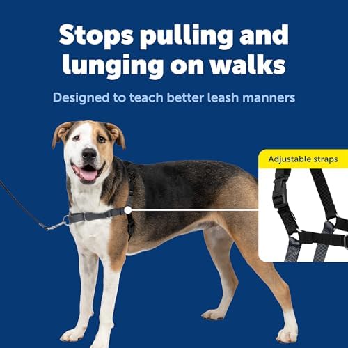 PetSafe Easy Walk Harness, No Pull Dog Harness, Charcoal Gray, Extra Large - Image 3