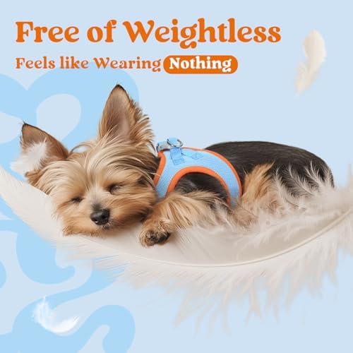 rabbitgoo Step-in Small Dog Harness, Puppy Vest - Image 5