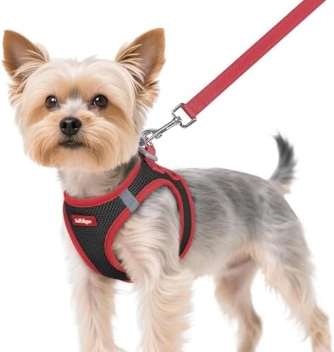 rabbitgoo Dog Harness Small Sized and Leash Set, Step in Soft Vest by rabbitgoo
