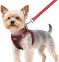 rabbitgoo Dog Harness Small Sized and Leash Set, Step in Soft Vest by rabbitgoo
