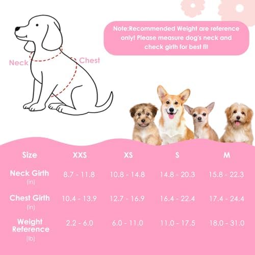 SlowTon No Pull Dog Harness - Image 3