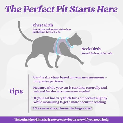rabbitgoo Cat Harness and Leash Set, Step-in Soft Vest - Image 2