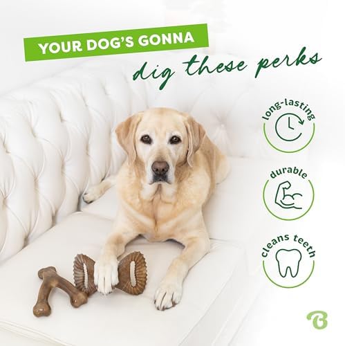 Benebone 2-Pack Wishbone/Dental Durable Dog Chew Toys, Real Bacon - Image 3