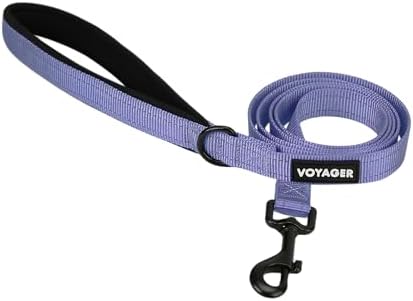 Best Pet Supplies Voyager Nylon Dog Leash by BestPetSuppliesLLC