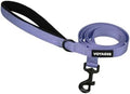 Best Pet Supplies Voyager Nylon Dog Leash by BestPetSuppliesLLC