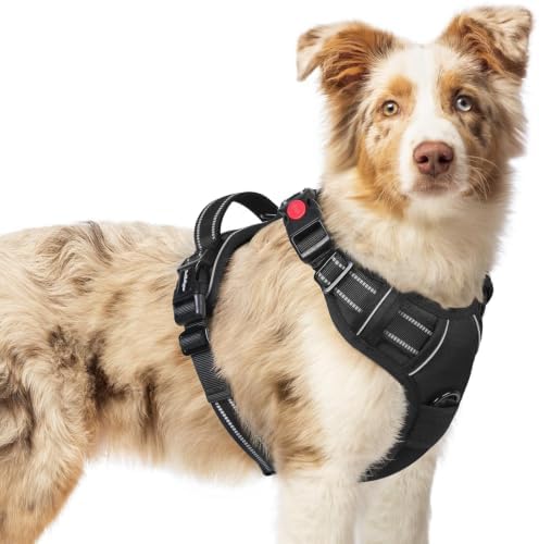 rabbitgoo Dog Harness Medium Sized, Updated Easy On & Off by rabbitgoo