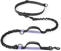 Mile High Life Hands Free Leash, Waist Leash by MileHighLife