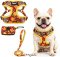 PUPTECK Thanksgiving Dog Harness and Leash Set Small Sized, Step in No Pull by PUPTECK