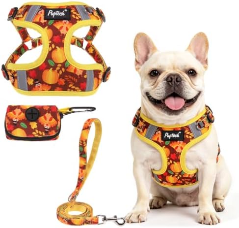 PUPTECK Thanksgiving Dog Harness and Leash Set Small Sized, Step in No Pull by PUPTECK