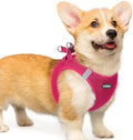 rabbitgoo Step-in Small Dog Harness, Puppy Vest by rabbitgoo