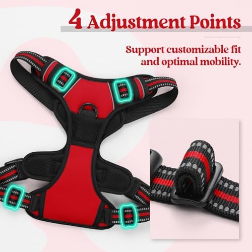 rabbitgoo Dog Harness, No Pull for Large Dogs - Image 5