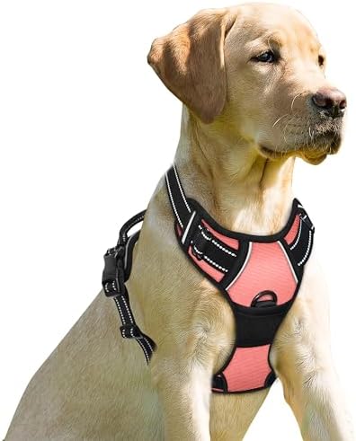 BARKBAY Dog Harness No Pull for Small Sized Dog Front Back Clips, Dog Vest by BARKBAY