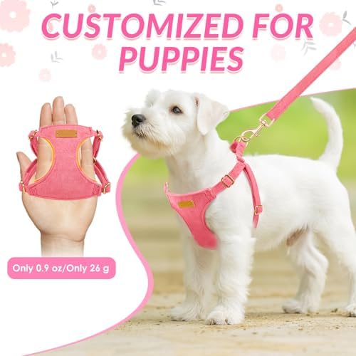 SlowTon No Pull Dog Harness - Image 2