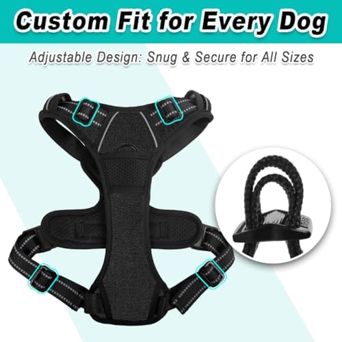 BARKBAY Dog Harness for Medium Sized Dog No Pull 2 Leash Clips Dog Vest - Image 6