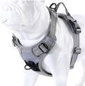JUXZH Truelove No Pull Dog Harness by juxzh