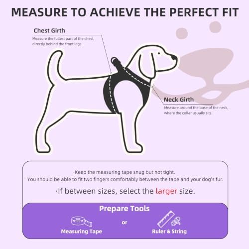PUPTECK Dog Harness, Collar and Leash Set No Pull - Image 2
